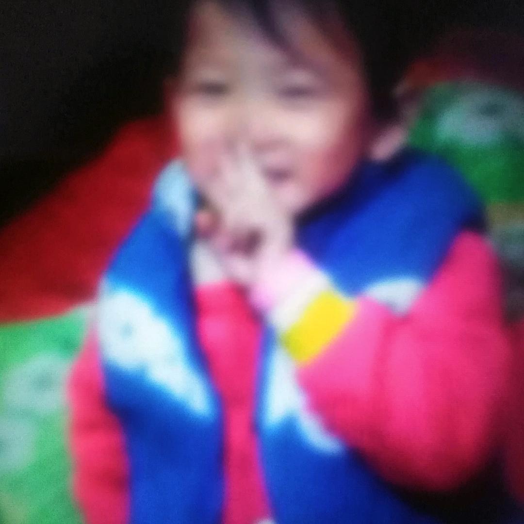 梅花依旧