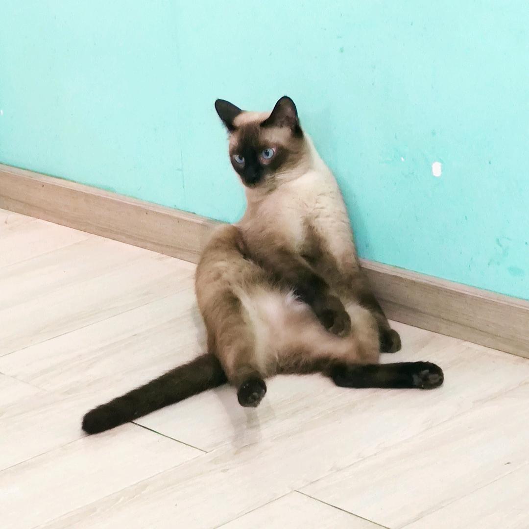 眯兜太郎