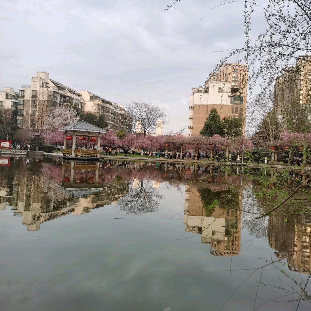 小淘气e