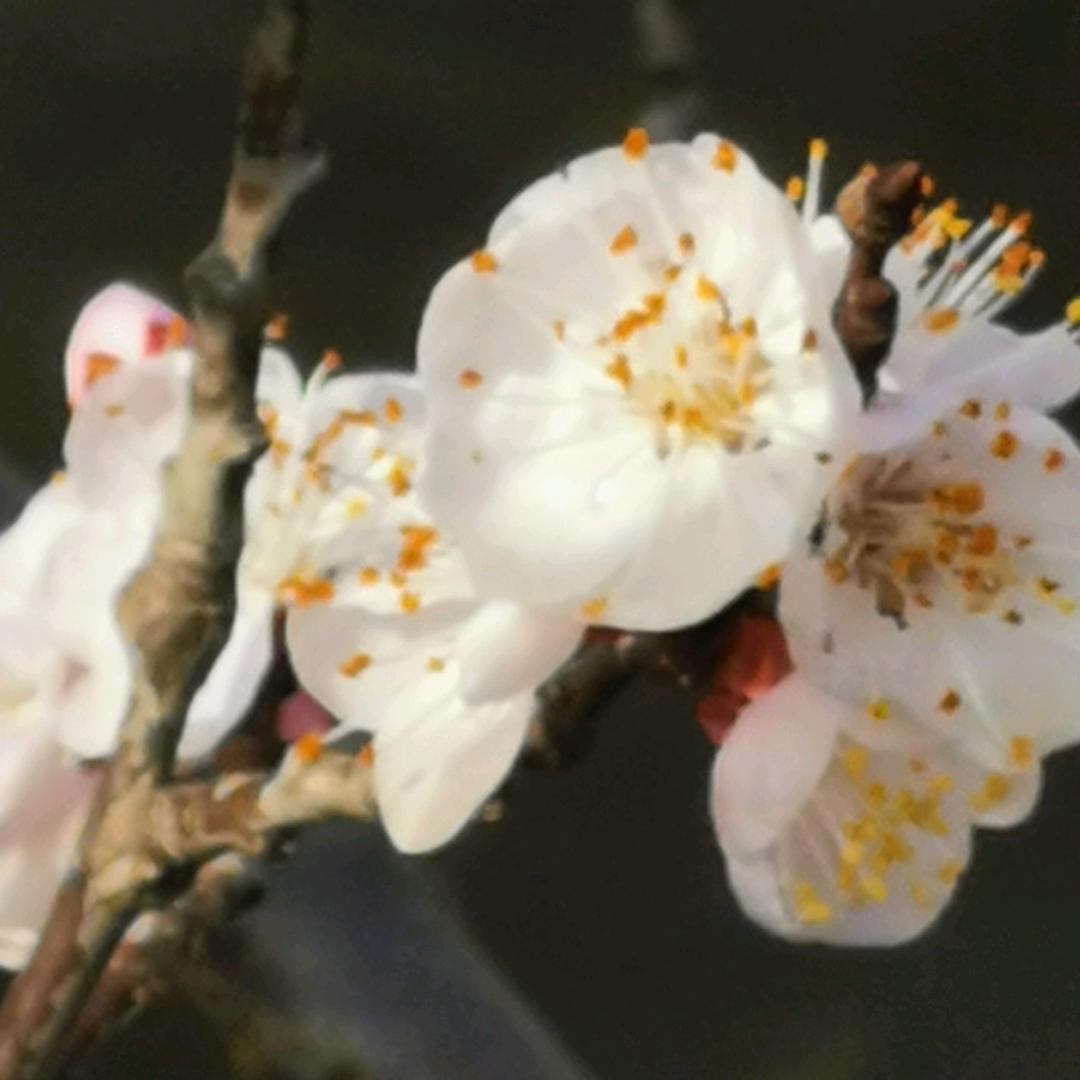 白云蓝天