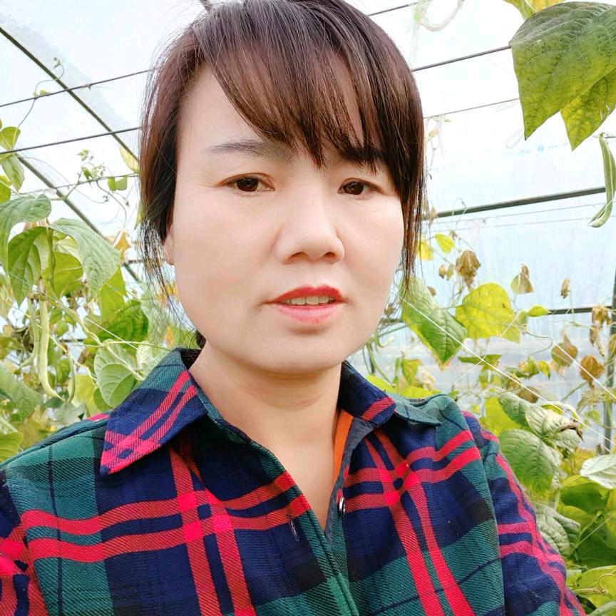 菜心