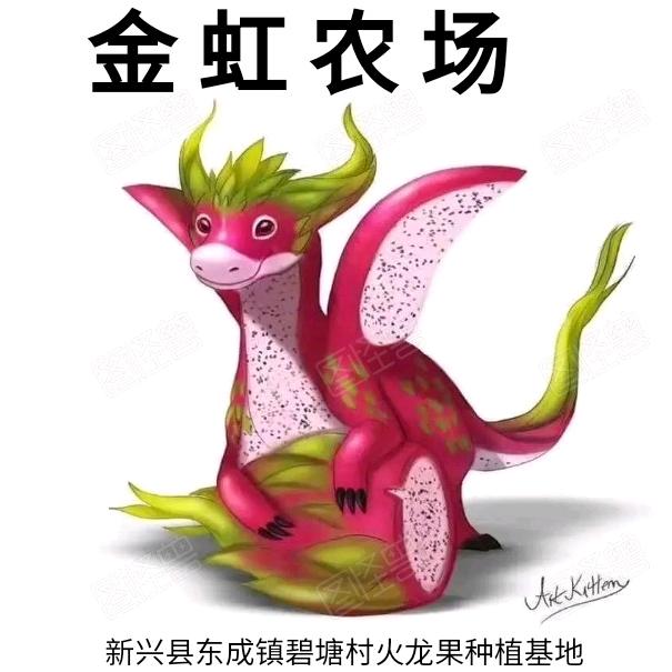 金虹火龙果场