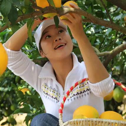 赣县区粹森家庭农场