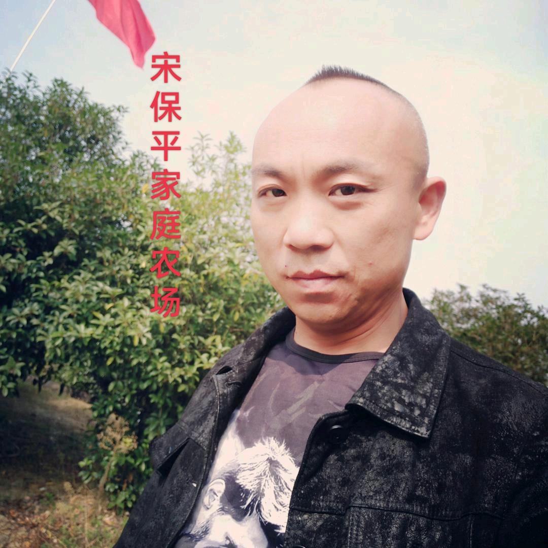 宋保平家庭农场