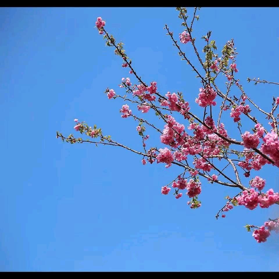 昨天，今天，明天