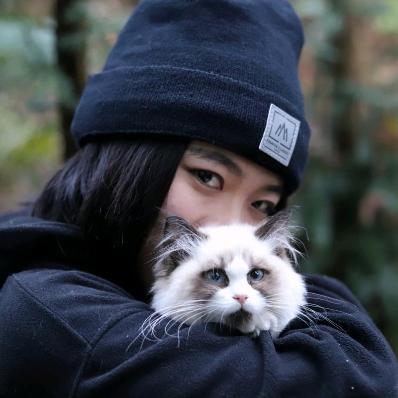 大胆喵与喜喜喵