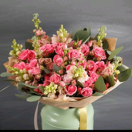 秋菊