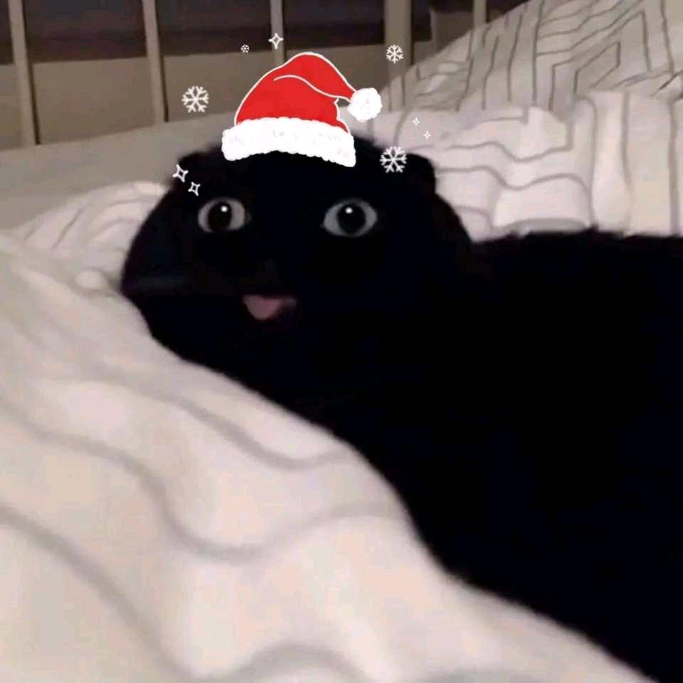 小猩.