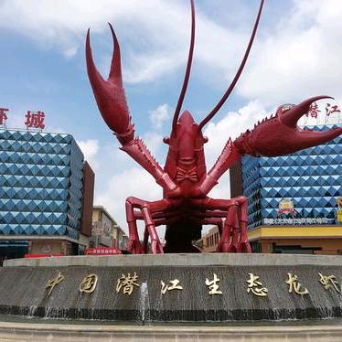 湖北潜江小龙虾—建军水产