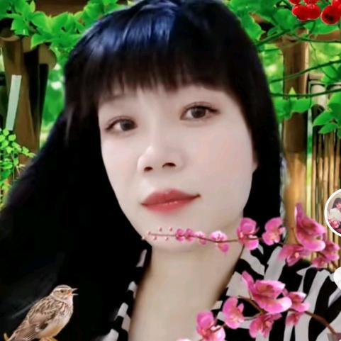 张家儿女