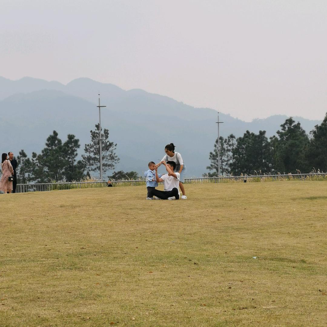 不下单期待收货