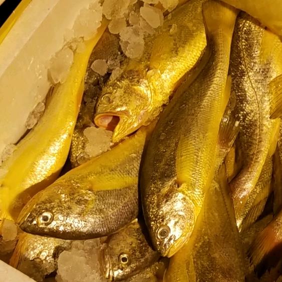 ☞☞☞海鮮🐟🐟🐟