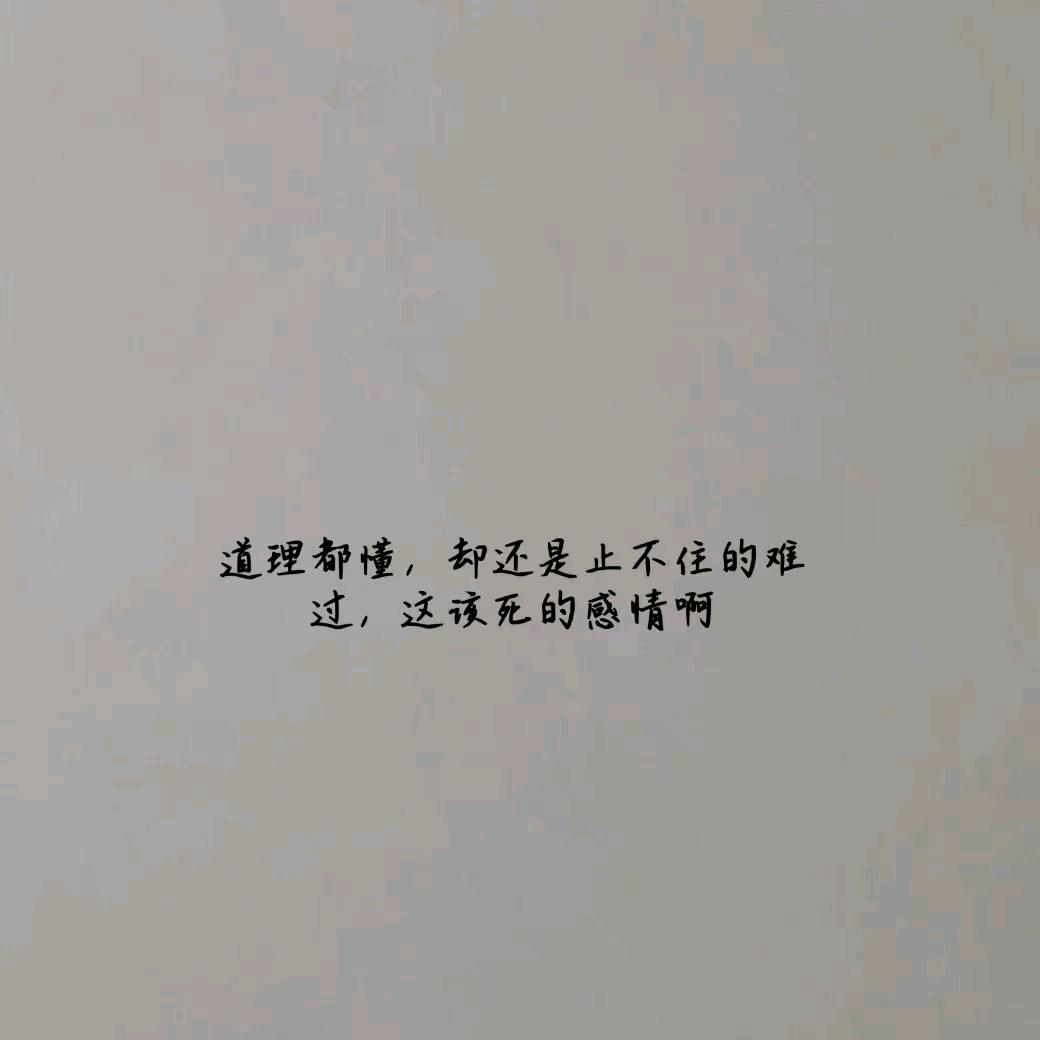 锅锅