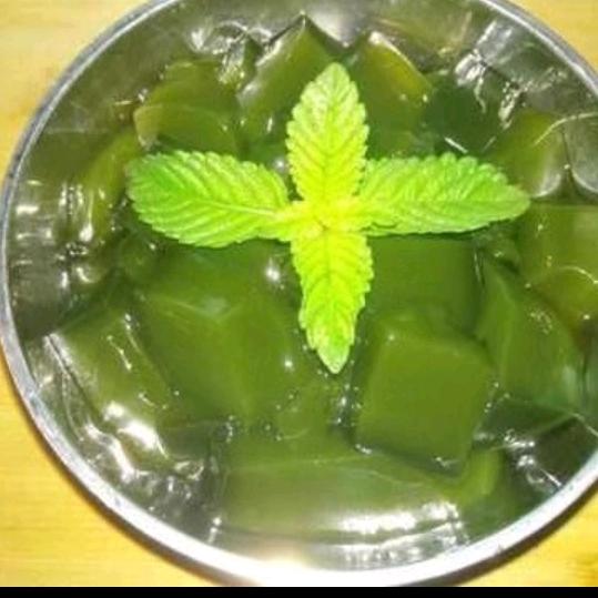 鱼对水的爱