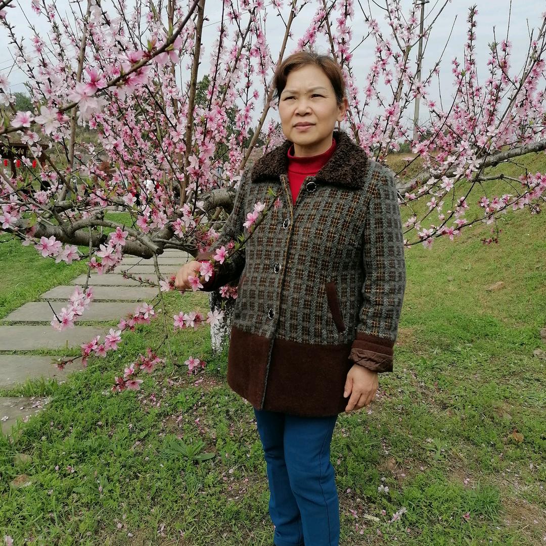木子青争