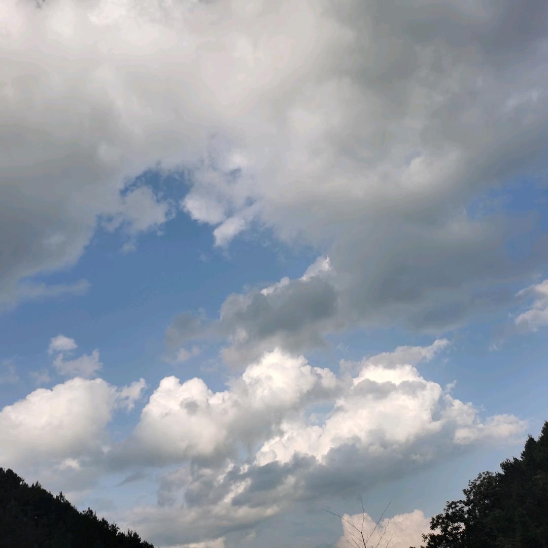 晏（梨树坪）