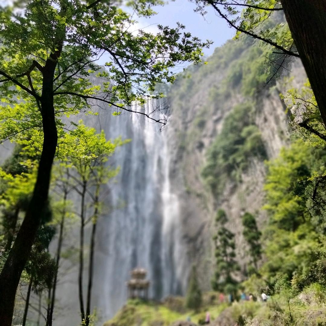 @陈