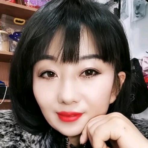 凤凰飞