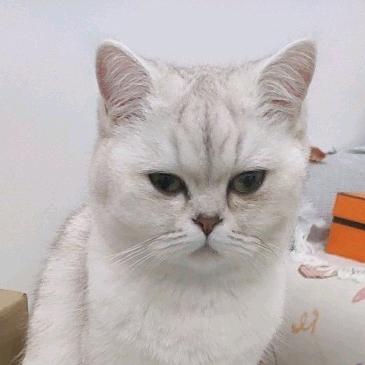 🌈有一只兔子叫乖乖