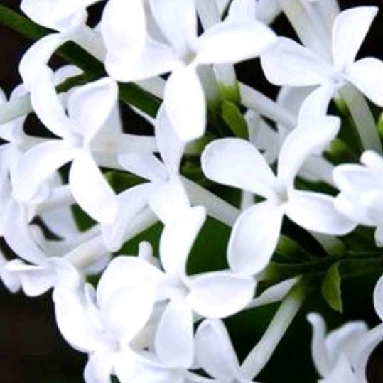 惠（拒绝加微）（不回就是限评）