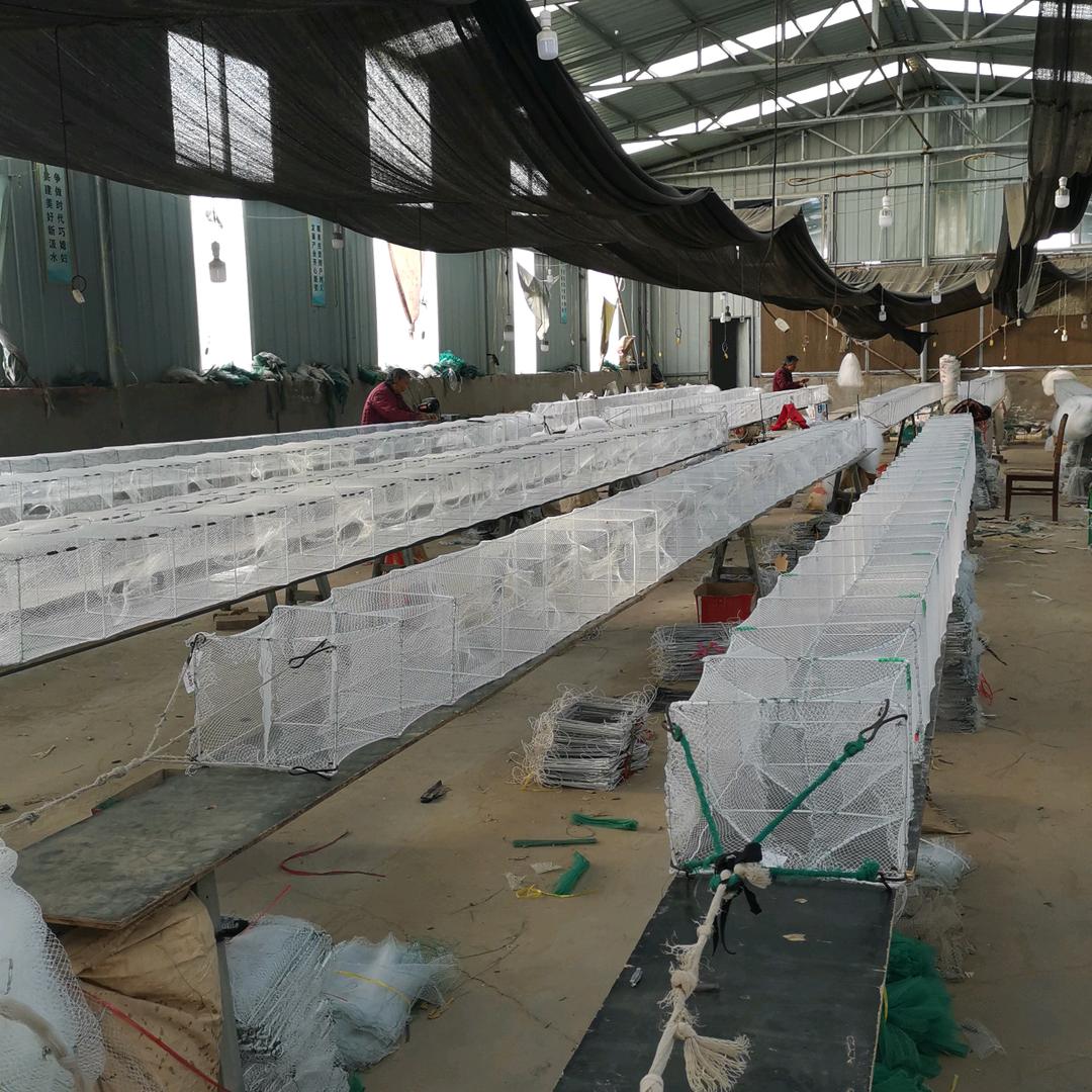 郸城县颖河网业