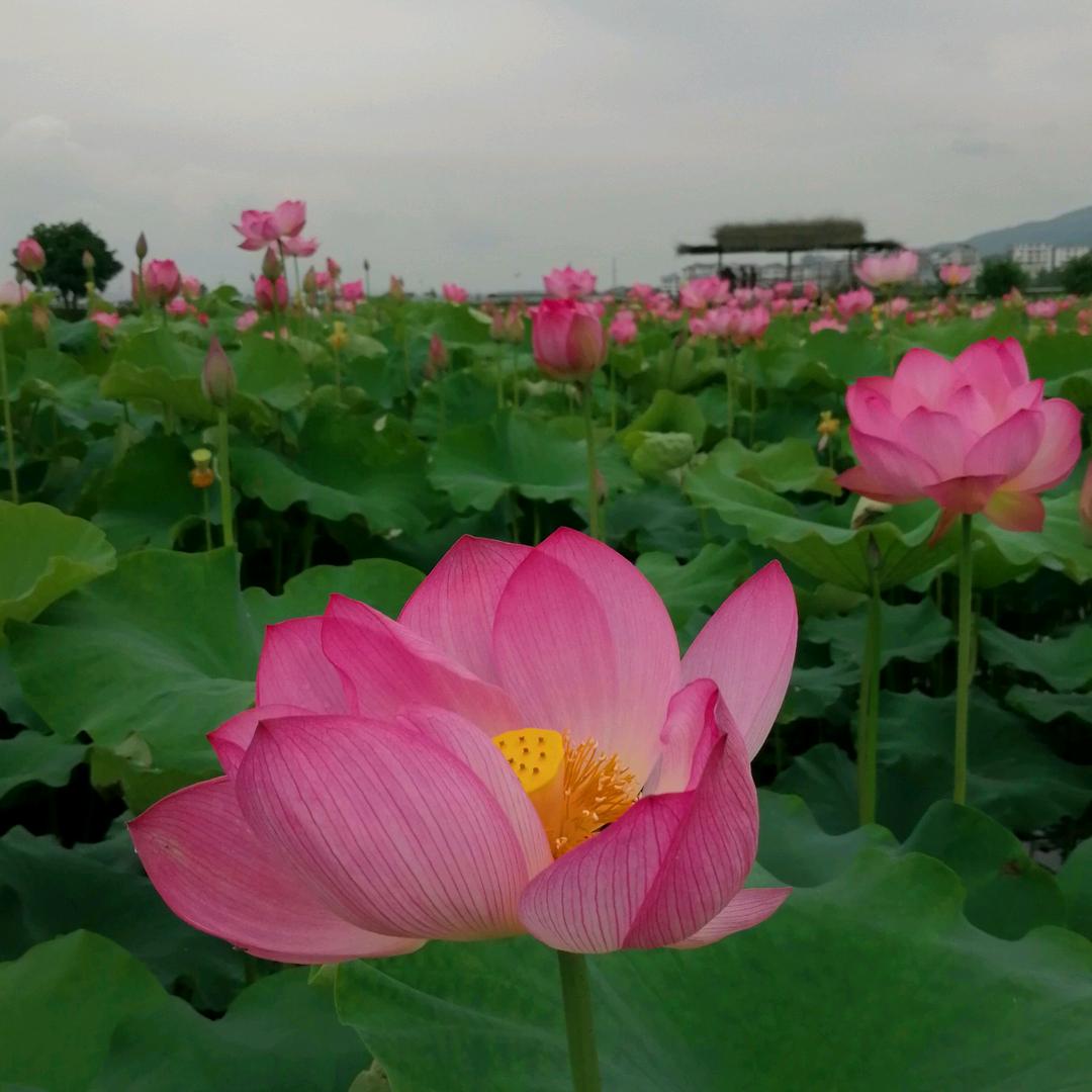绿源蜂坊