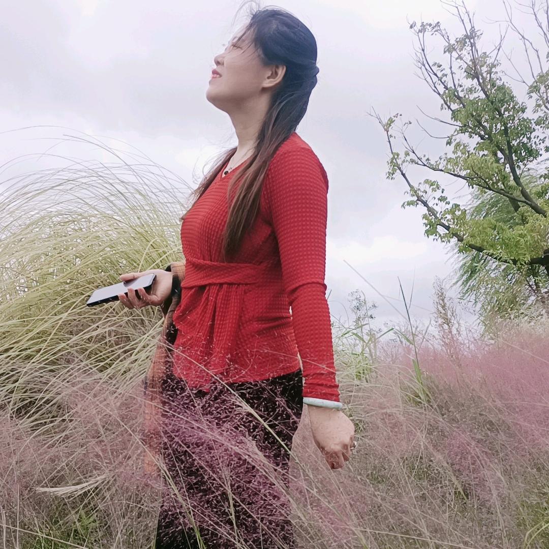 八月桂花香（感谢关注）