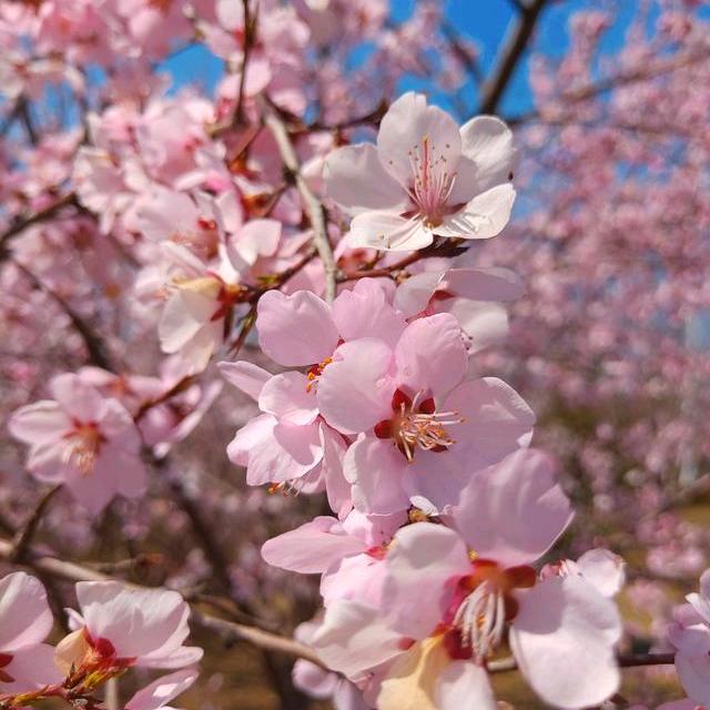 泊而蒙家用电器