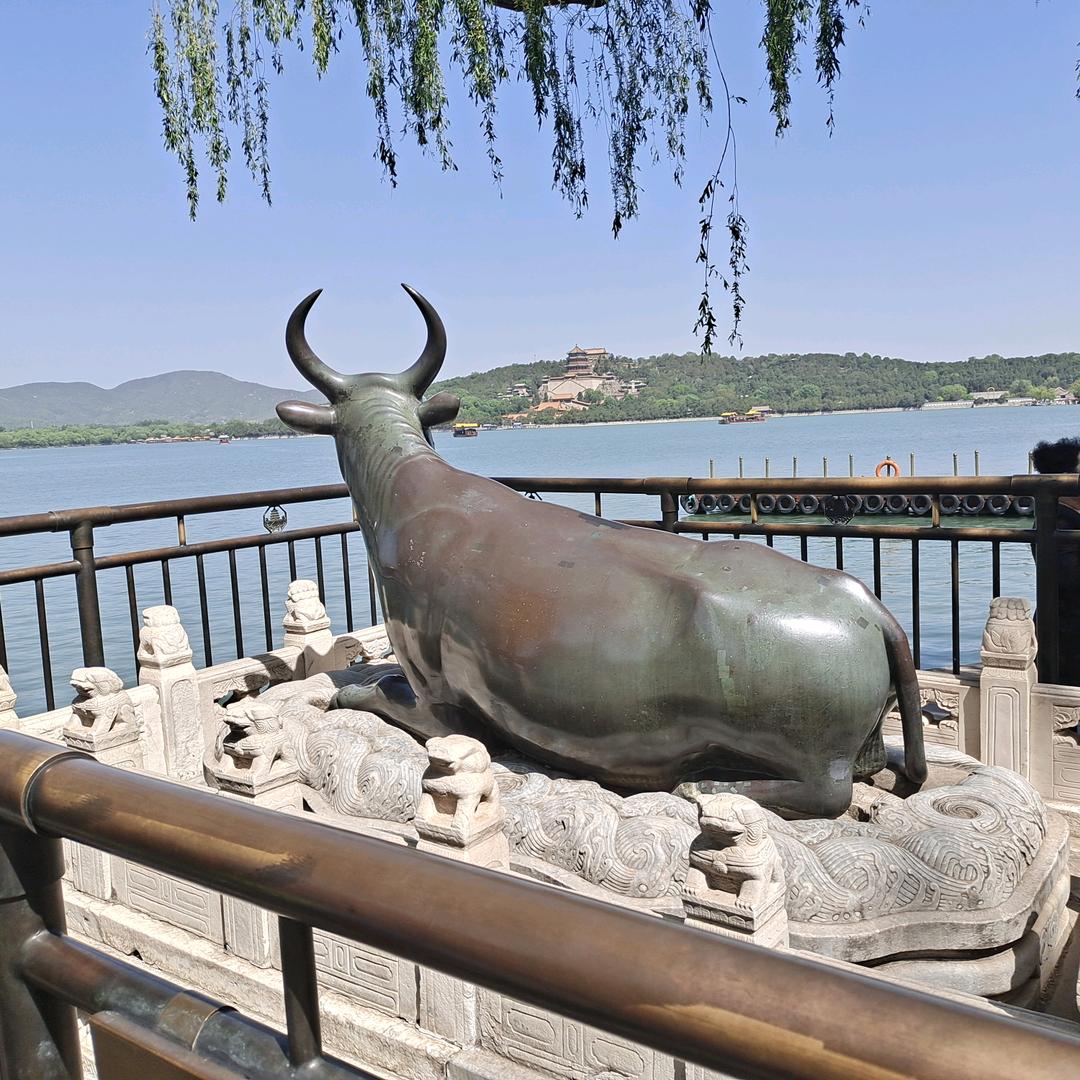 三矩高频机~:河北李