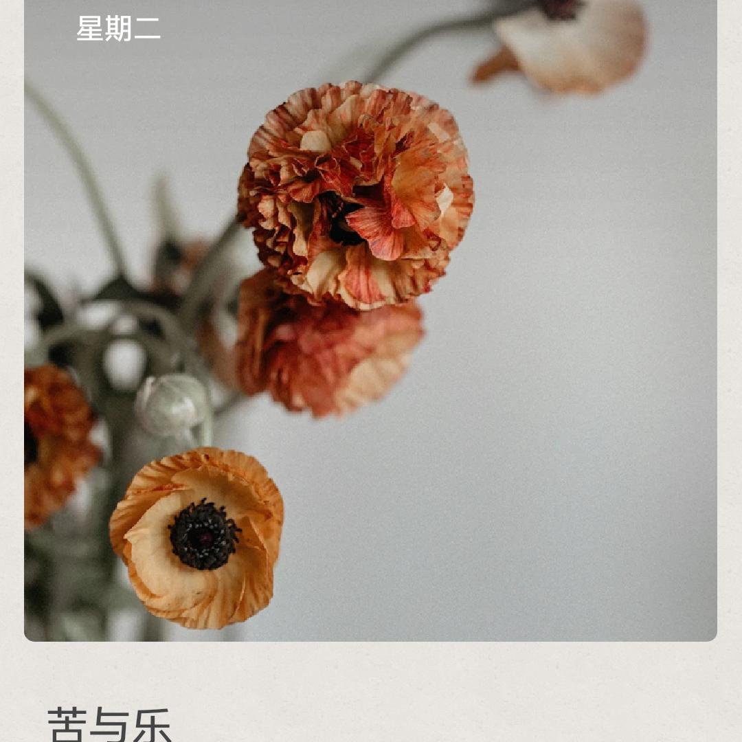 笑逐颜开