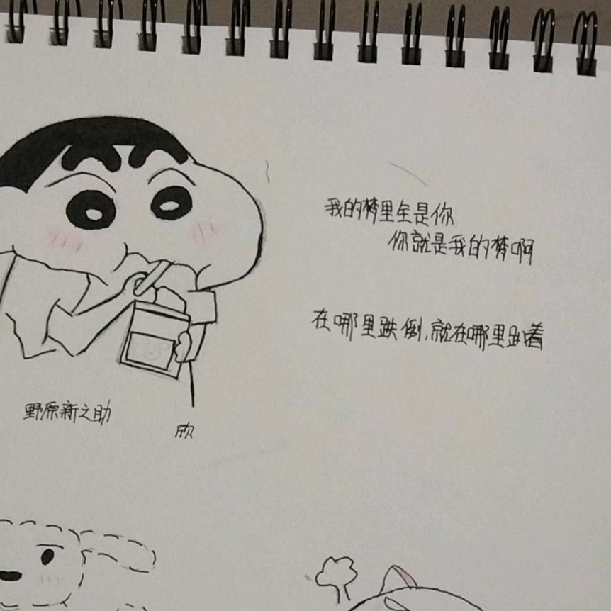 孤芳自赏