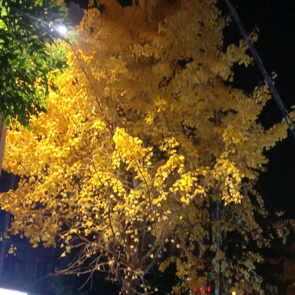 如此，安好