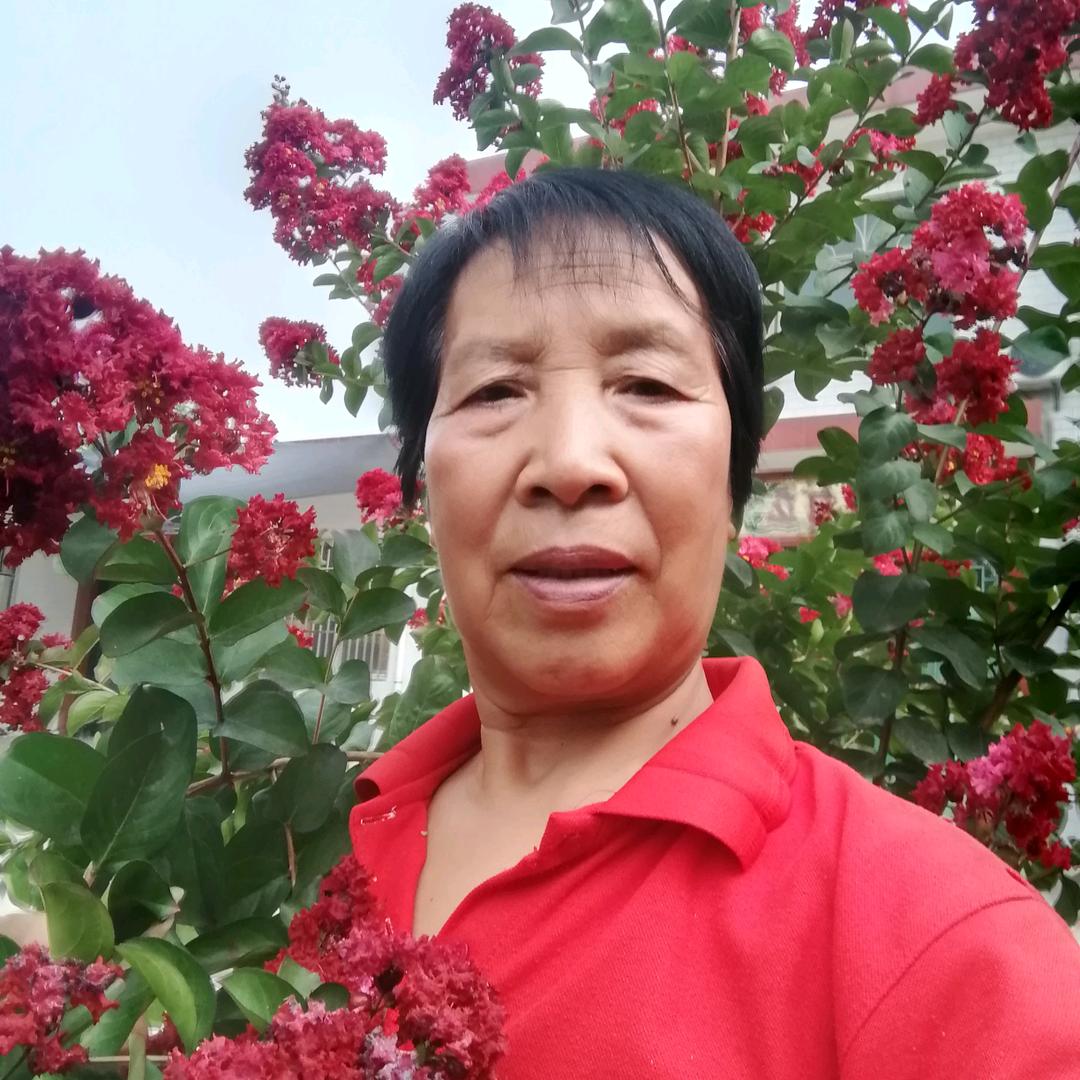 春暖花开