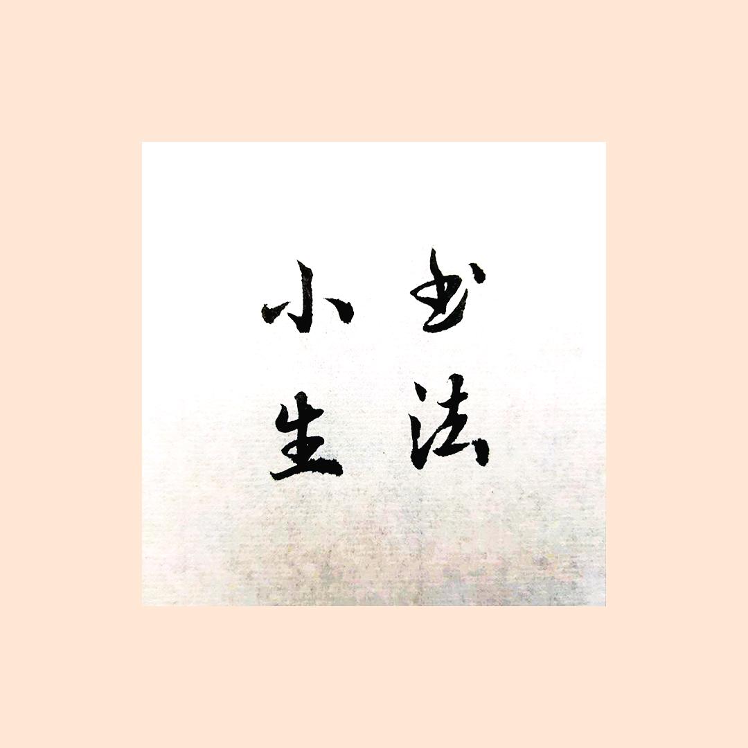书法小生