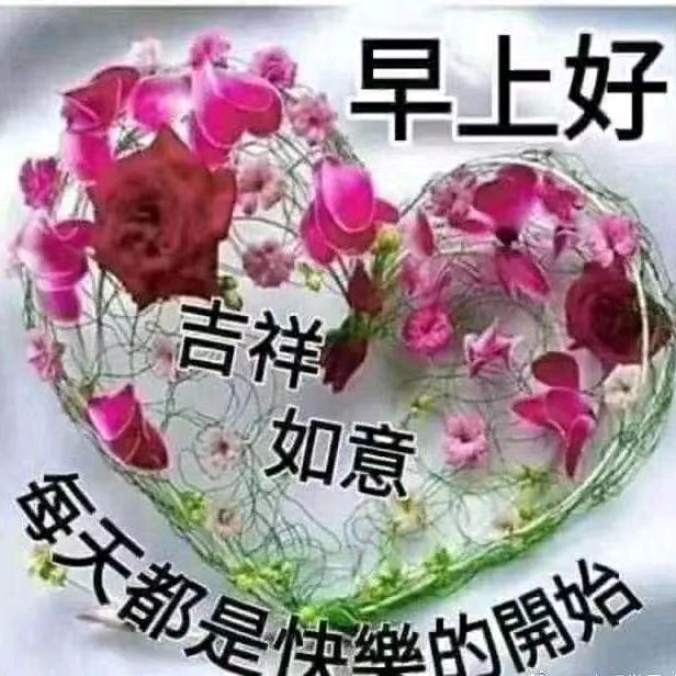开心果