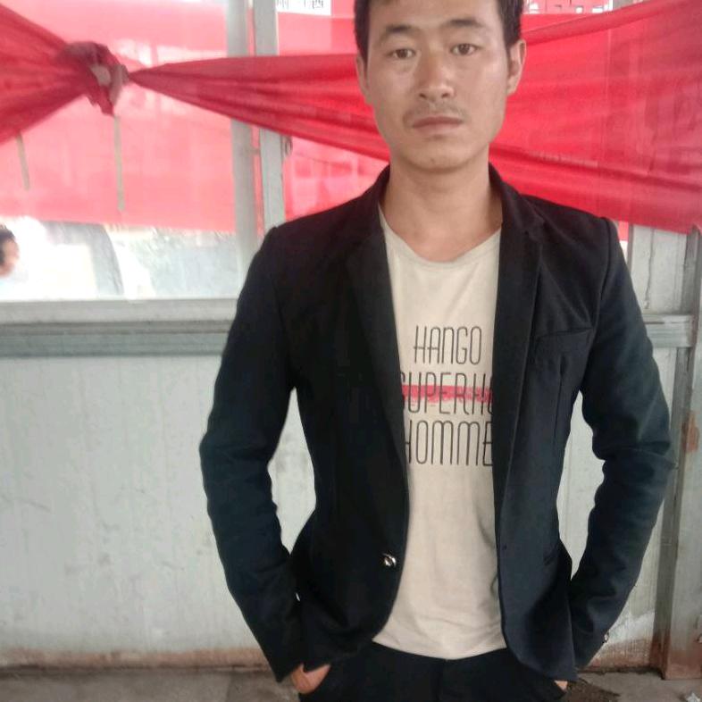 杨贵平