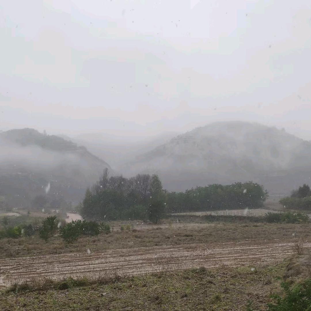 青苔瓦片