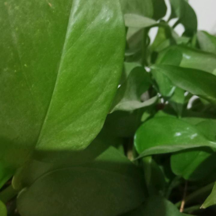 水暖王姐，有事找王姐。🍎