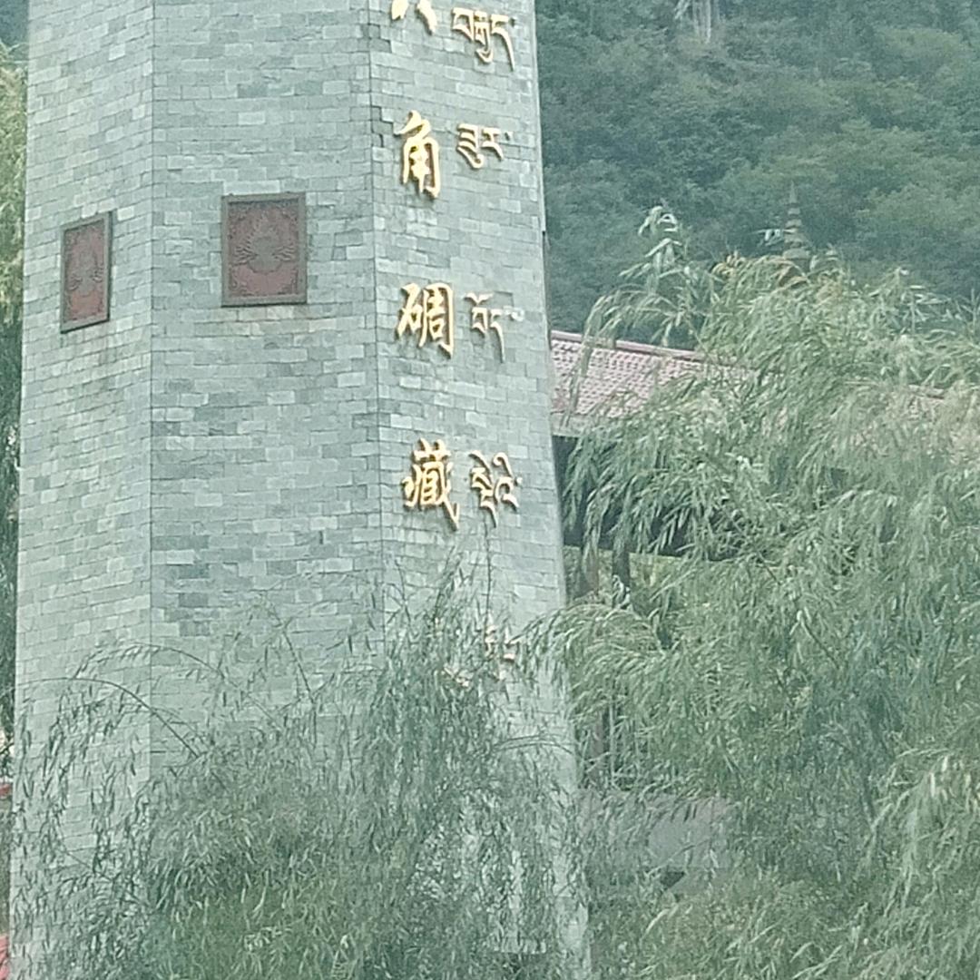 任我行头像
