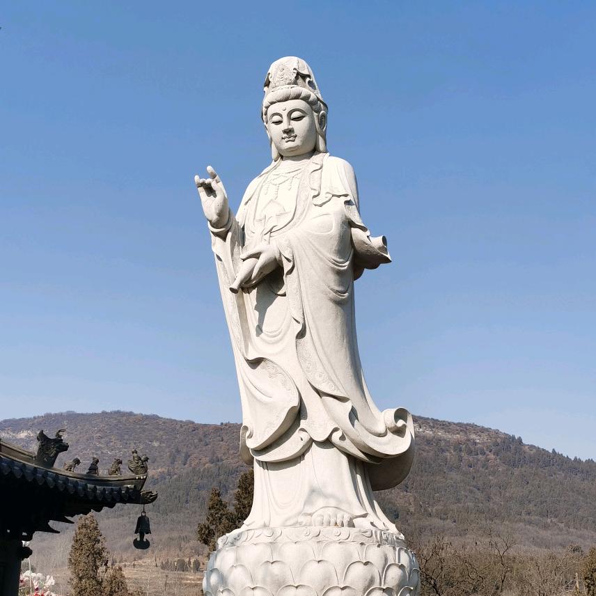 🐲龙行天下🐲