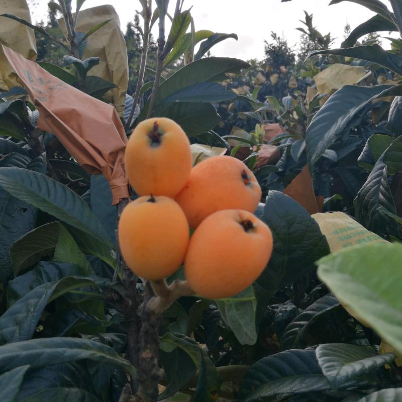 翊琳(请不要连赞   谢谢)