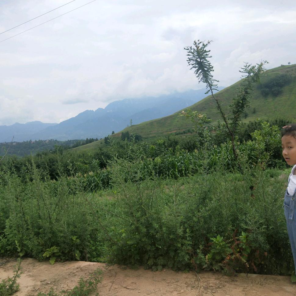 天地盛达建材有限公司