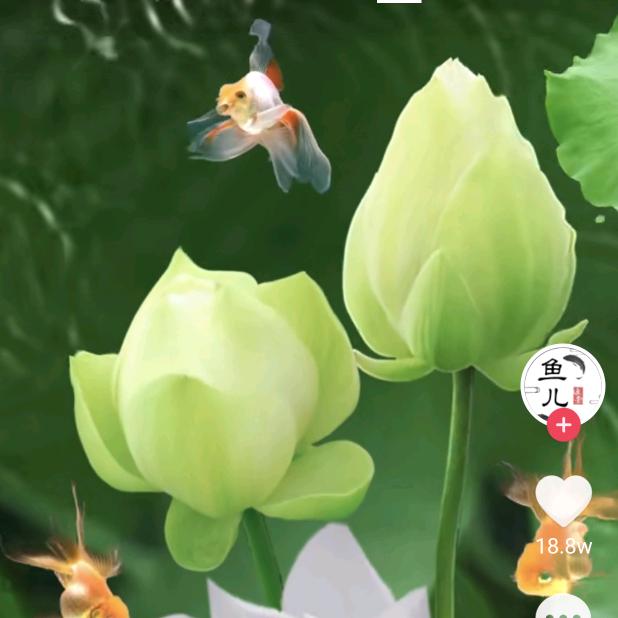 清清晨
