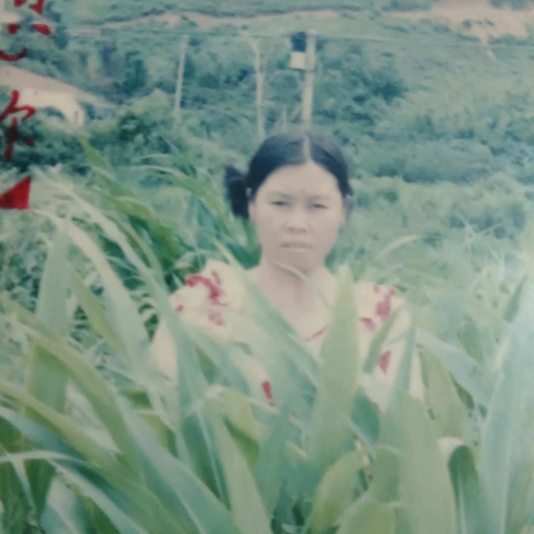 半成烟沙々忆空城罗仁梅