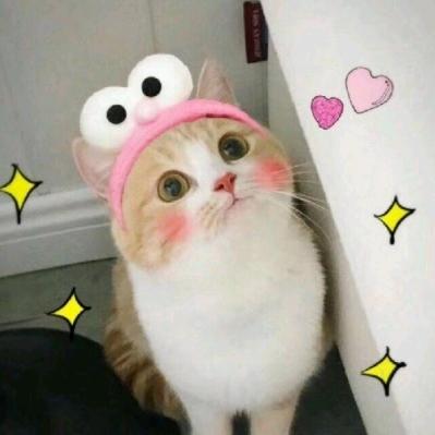 明日之后宝宝食铺