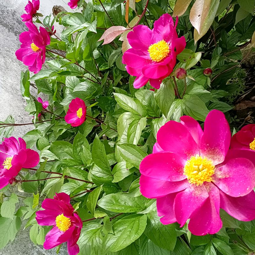 告别过去，迎接未来