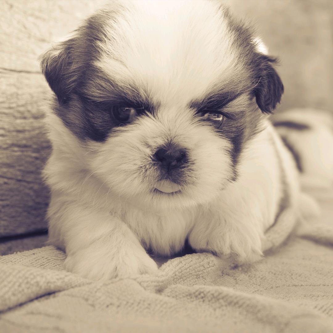 🌈🌈🌈回到过去