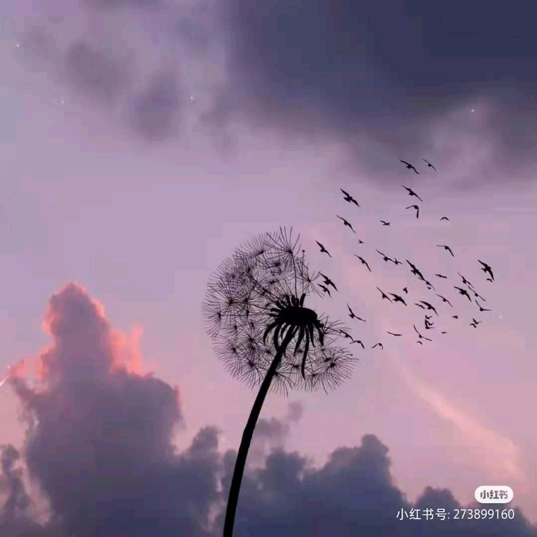 霞