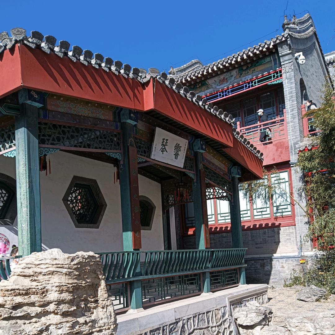 斑马斑马