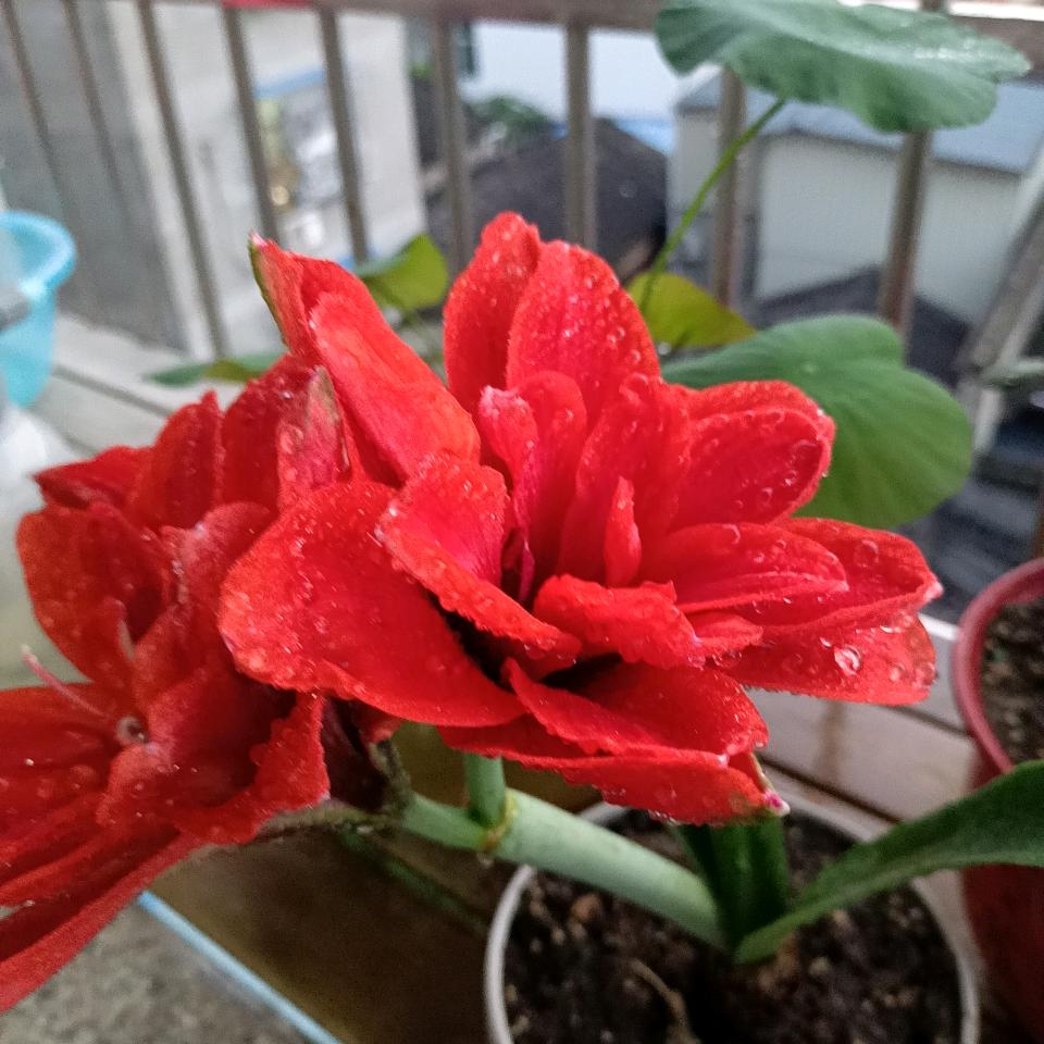 过好今生，再求来世。